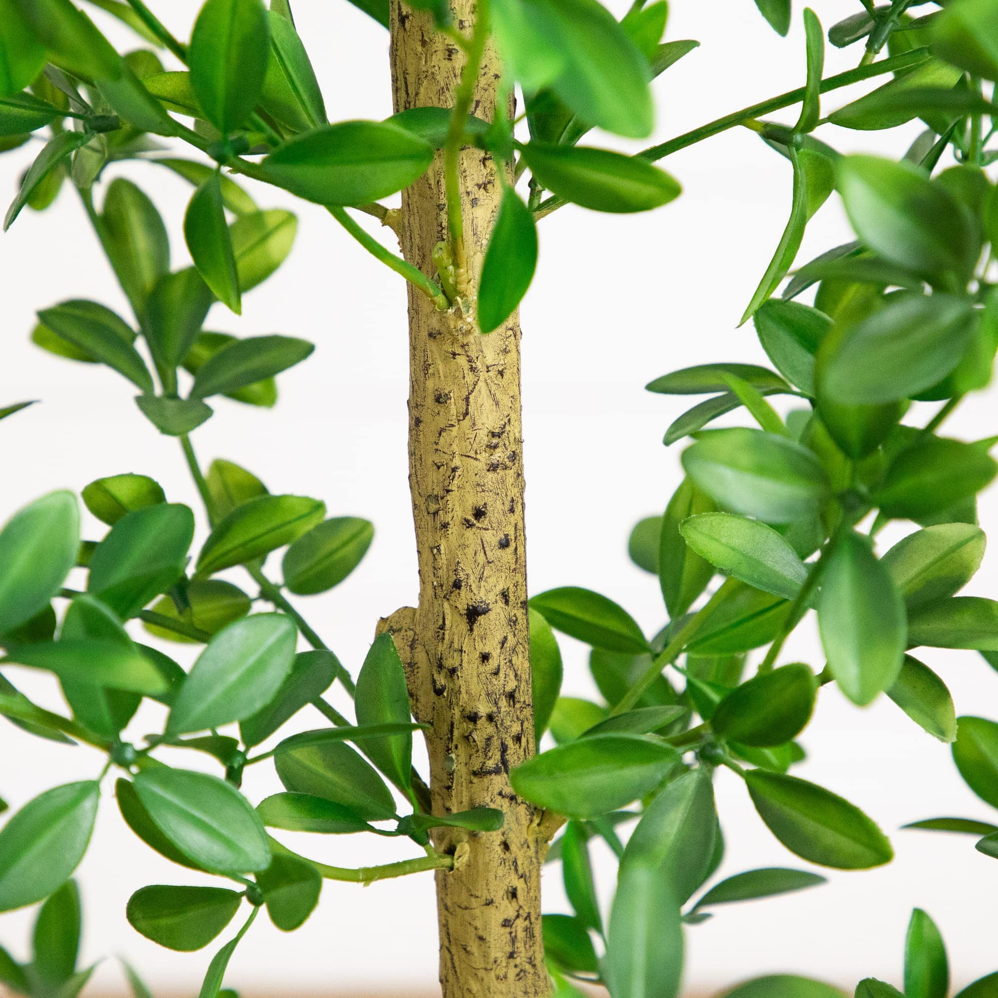 6ft. Artificial Shady Lady Black Olive Tree